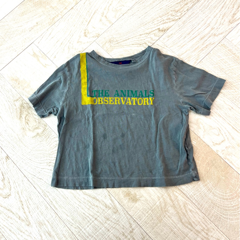 The animals observatory oversized tee 3 yo